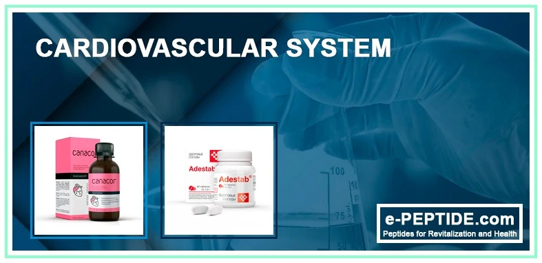 cardiovascular system cat