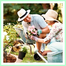 Aging prevention