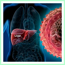 Chronic Hepatitis