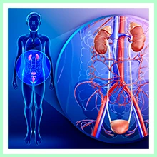 Kidney failure Kidney failure