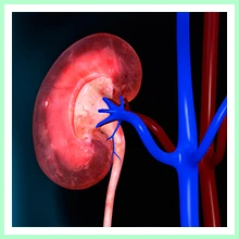 Nephritis Nephritis