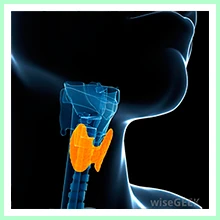 Thyroid dysfunction - Hypothyroidism
