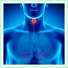 Thyroid dysfunction