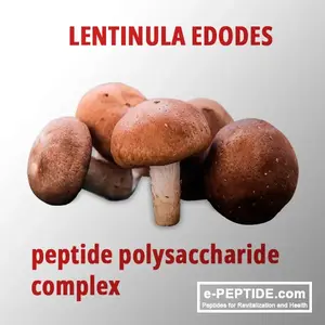 lentinula edodes