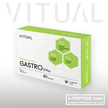 GASTRO 3 Plus 