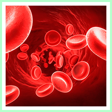 Peptides for Anemia