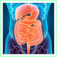 Digestive diseases