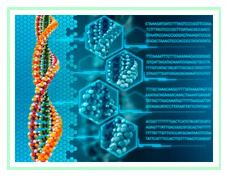 DNA
